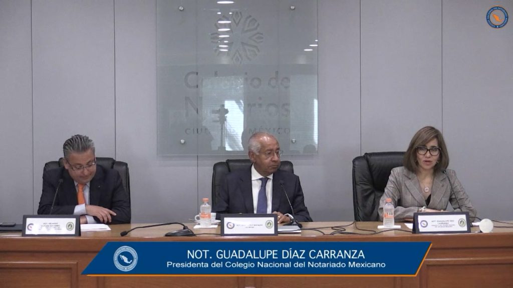 CONSTITUCIÓN POLÍTICA DE LA REPÚBLICA, COLEGIOS EN DEFENSA DE NOTARIOS